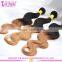 China Hair Supplier #1b/#27 Ombre Color 100% Virgin Malaysain Body Wave Hair