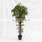 decorative artificial mini green ficus wooden tree