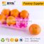 High quality fruit clamshell packaging tray for 6 pcs peach