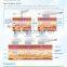 Real Hifu Face Lifting Machine Wrinkle Removal Ultra Impact Pixel RF Beauty Salon and Spa Equipment