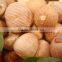 BETEL NUTS 80% GOOD CUT GOOD PRICE FOR BANGLADESH