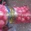 Fresh 2015 Chinese Onion