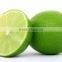 FRESH LEMON