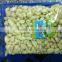New Shandong Corp Fresh Garlic 2015 with Best Quality