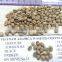 ARABICA GREEN BEAN COFFEE (skype: visimex08)