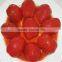 canned tomato paste Tomato Sauce Tomato Ketchup