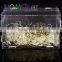 Nomo Craft Acrylic Reptile Terrarium Habitat, Ideal for Larvae spiders, ants, scorpions and other small reptiles