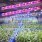 MarsHydro Hydroponic full spectrum LED grow bar & Aquarium light grow light for growing plants