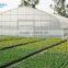 Low cost single-span greenhouse film hoops