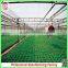 Large Muti-span Hydroponical Polycarbonate Sheet Greenhouses From China Manufacturer