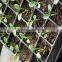 128 hole round flower box seed tray for green house plant nursery