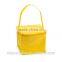 PVC foldable cooler bag with handle for promtional