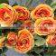 GNW FL-RS94-M-7CM High quality cheap Long stem artificial flower rose yellow for sale
