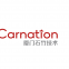 Xiamen Carnation Technology Limited