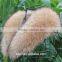 2016 Winter 100% Real Natural Fur Collar & Womens Scarfs Fashion Coat Sweater Scarves Collar Luxury Raccoon Fur Neck Cap