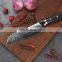 Popular Design 67Layer VG10 Damascus Santoku Knife