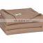 Amazon Hot Sale High Quality Soft Warm Cozy Coral Fleece Blanket Fuzzy Fluffy Adult Blanket