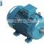 WEG low-voltage high-efficiency three-phase motor