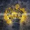 3M 20Leds Pineapple String Lights Battery Operated decorative led lights home