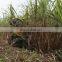 Good quality durable sugarcane harvester for sale in philippines