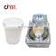 Colorizedhigh quality plastic paint bucket mould