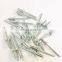 Free sample rivets All stainless steel 304/316 large head flat head blind rivets