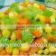 High standars quality and nice design home-use Vegetable Dicer, shredder, slicer