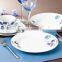 pakistani dinnerware procelain dinner set  best sellers