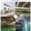 Manufacturing Frying Production Line  100kg/h Potato Chips Making Machine