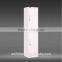 WLS new fashion design home furniture steel 2 door locker cabinet with feet
