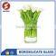hgih quality crystal clear glass vase flower                        
                                                Quality Choice
