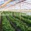 Greenhouses Weed moisture barrier film