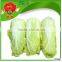 cheap cabbage