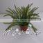 Artificial Bonsai tree plastic Cypress small potted plant for home/office decoration making