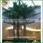 wholesale fake plant artificial coconut palm tree decor                        
                                                                                Supplier's Choice