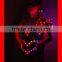 Programmable Showgirl Dance Sexy LED Costume