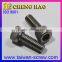 Taiwan OEM Hex Socket Big Head Screw