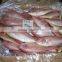 Japanese Thread Fin Bream Fish IQF 10 KG ORIGIN Pakistan