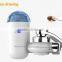 2016 Best selling pineapple design diatom film tap water purifier with double filter element for home kitchen health Wholesale