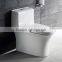 modern design toilet TC--38702