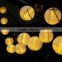 Solar String Lights Outdoor 15.7ft 20 LED Warm White Fabric Lantern Christmas Globle Lights