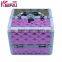 Women Fashion Portable Wholesale Professional ABS Empty Makeup Case With Drawers