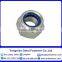 Stainless Steel 304 Nylon Lock Nuts DIN985