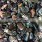 Hot sale healing gravel crystal for fish tank ornament