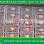 Fresh Nanfeng Honey Baby Mandarin Supplier From China