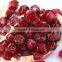 FRESH WONDERFUL POMEGRANATE
