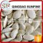 A grade snow white pumpkin seed kernels with low price