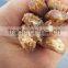 Radix Stemonae Root