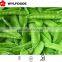 IQF china price for frozen Pea pods 2015 high quality
