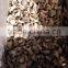 top quality china mushroom with good price